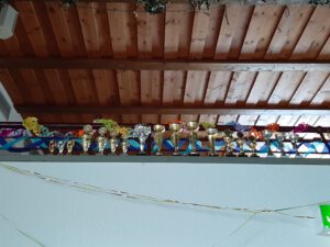 Unsere Pokale für den Abend. Der Wanderpokal für den 1. Platz der Mannschaft fehlt noch.